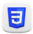 CSS